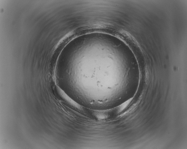 X0000058781210200510031011