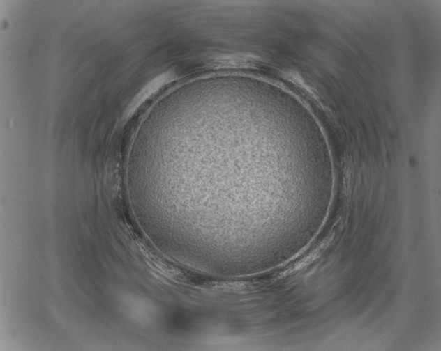 X0000058781211200510031011