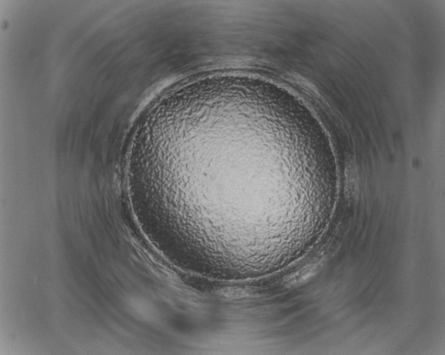 X0000058781212200510031011