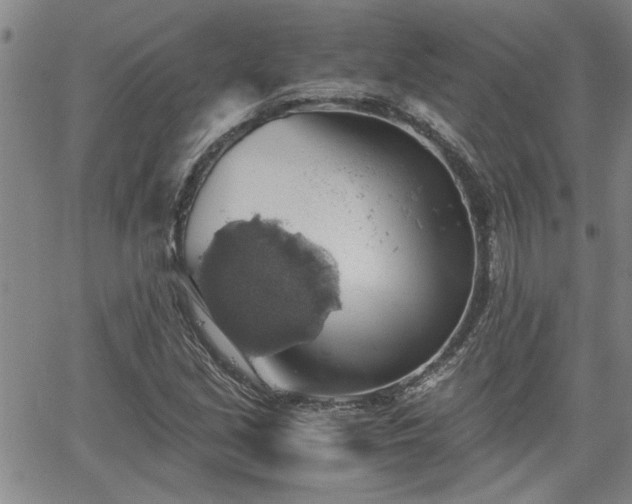 X0000058781213200510031011