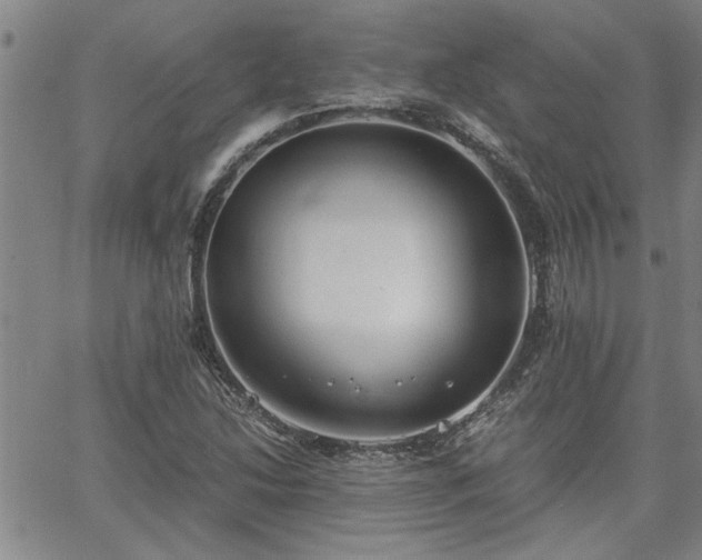 X0000058781214200510031011