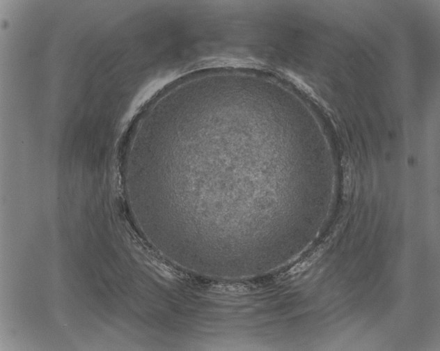 X0000058781215200510031011