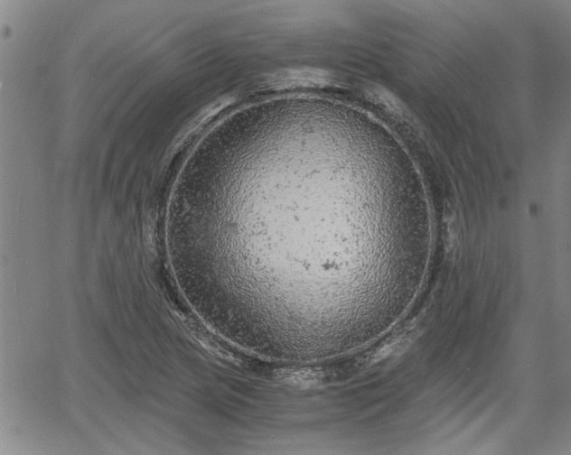 X0000058781217200510031011