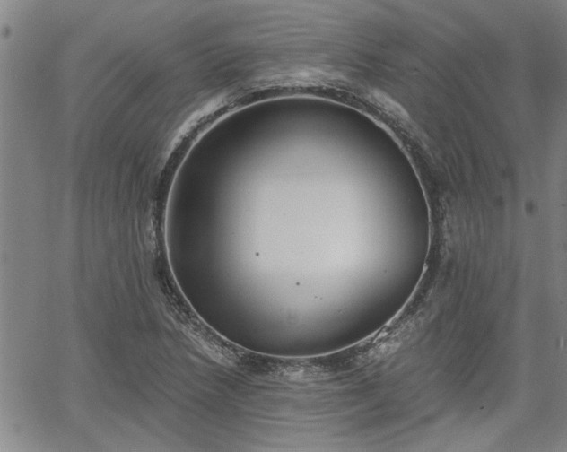 X0000058781218200510031011