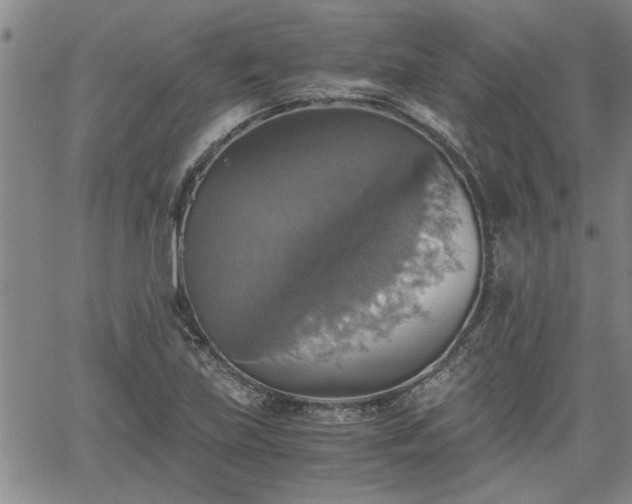 X0000058781219200510031011