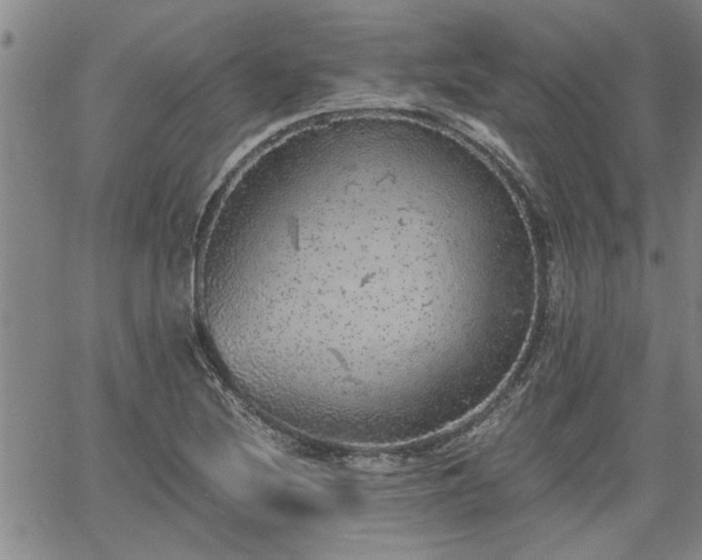 X0000058781220200510031011