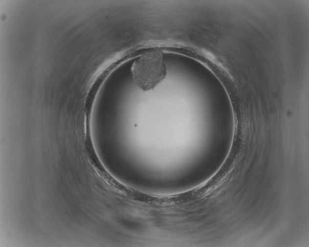 X0000058781221200510031011