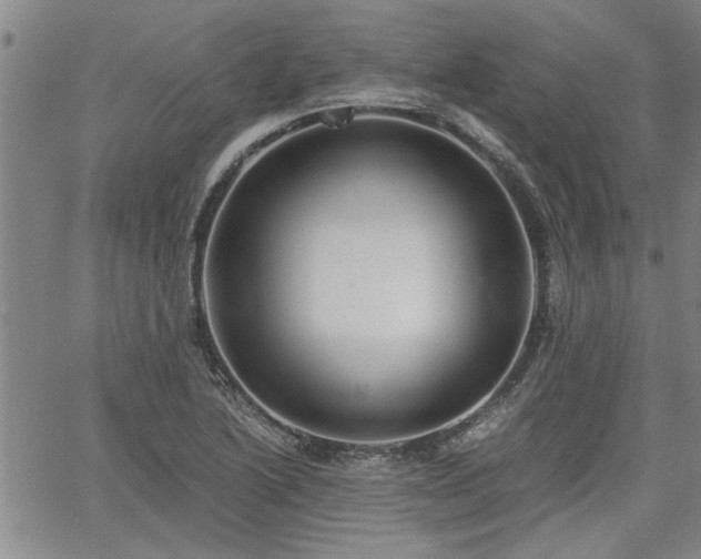 X0000058781222200510031011