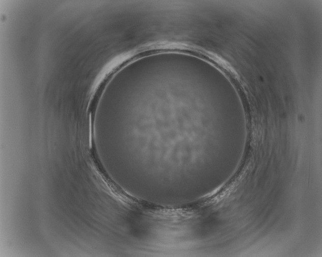 X0000058781223200510031011