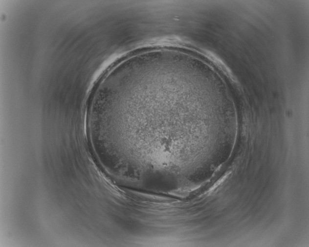 X0000058781224200510031011