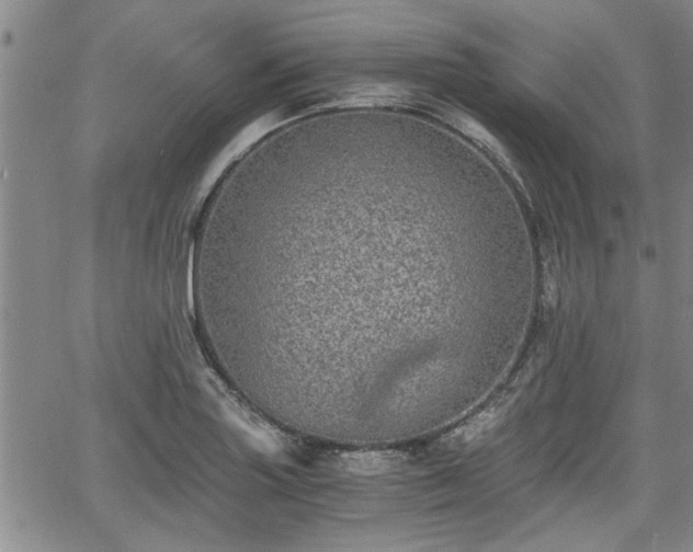 X0000058781227200510031011