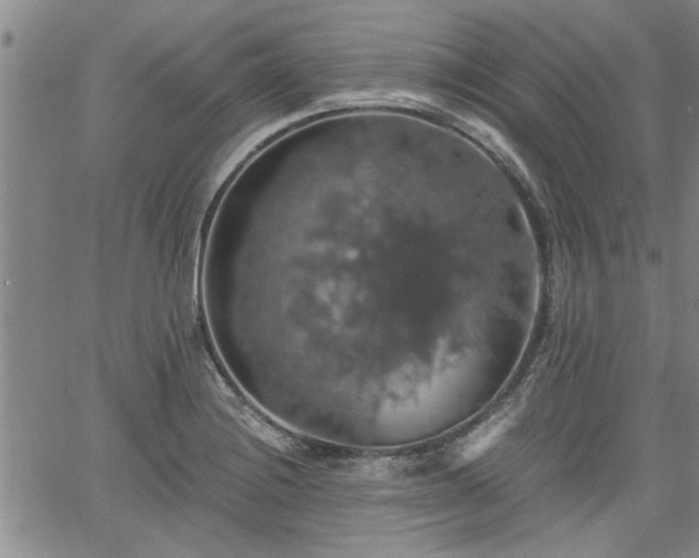 X0000058781228200510031011