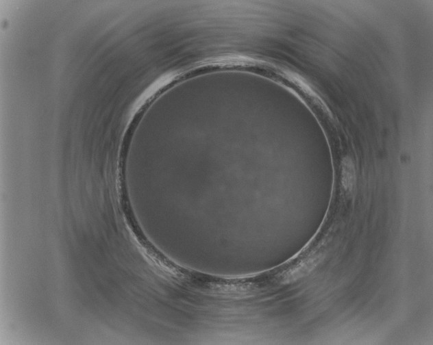 X0000058781229200510031012