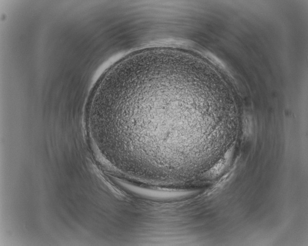 X0000058781230200510031012