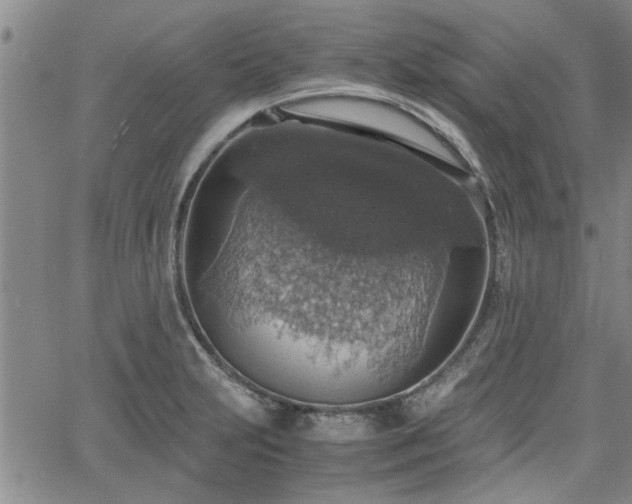 X0000058781231200510031012