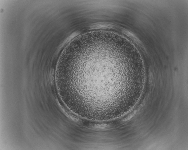 X0000058781233200510031012