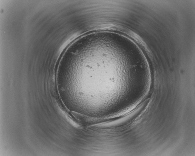 X0000058781234200510031012