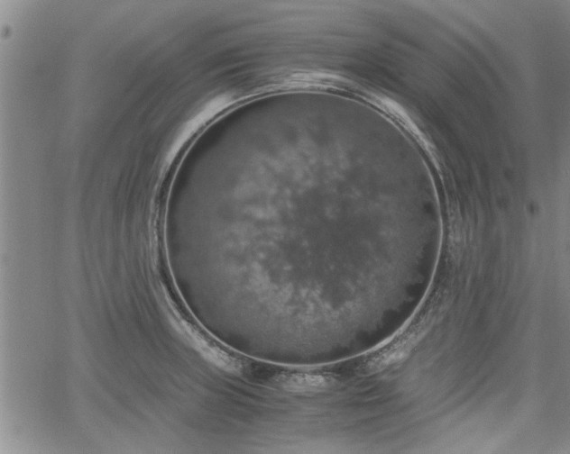 X0000058781235200510031012