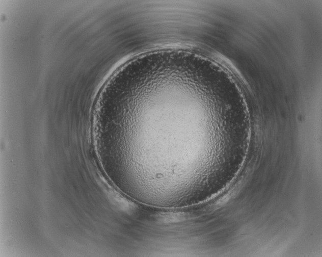 X0000058781236200510031012