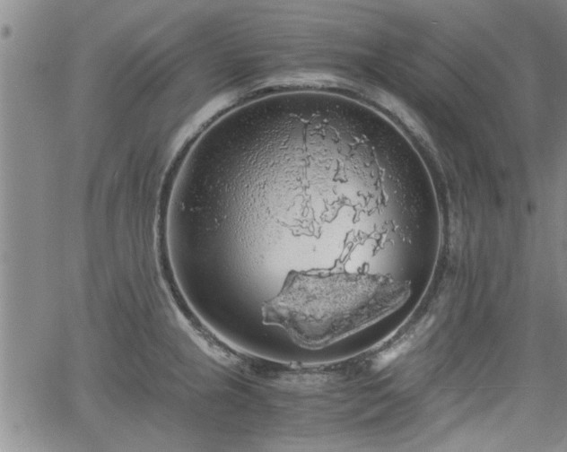 X0000058781237200510031012