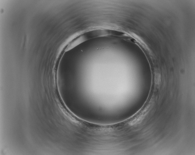 X0000058781238200510031012