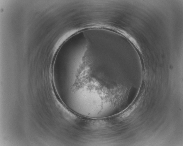 X0000058781239200510031012