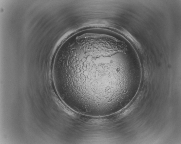 X0000058781240200510031012