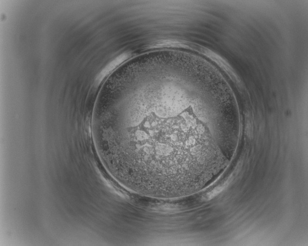 X0000058781241200510031012