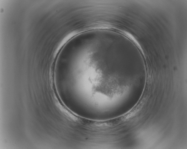 X0000058781243200510031012