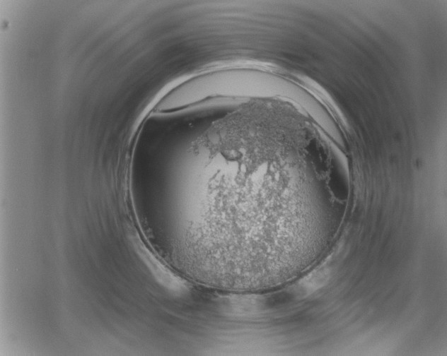 X0000058781244200510031012