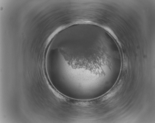 X0000058781245200510031012