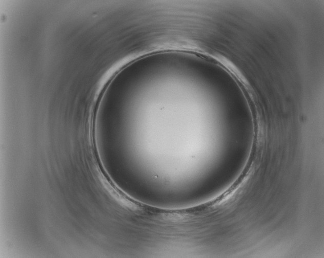 X0000058781246200510031012