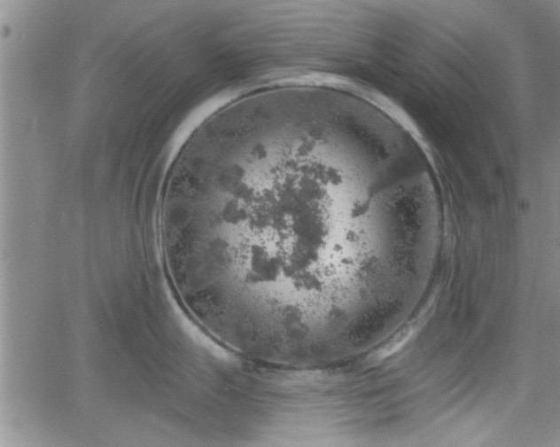 X0000058781247200510031012