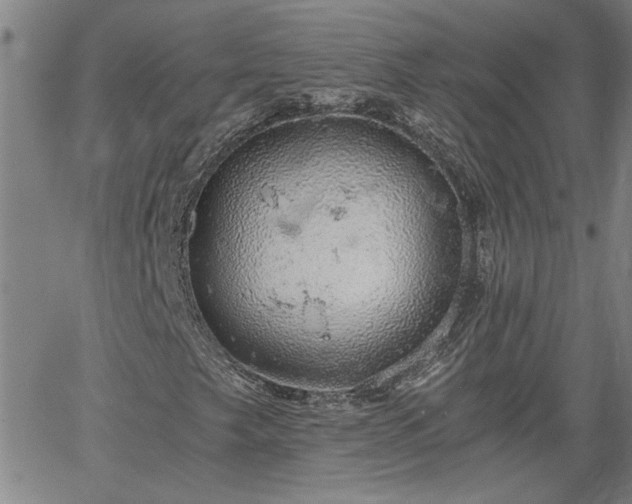 X0000058781249200510031011