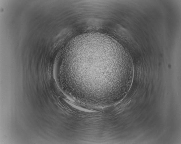 X0000058781250200510031011