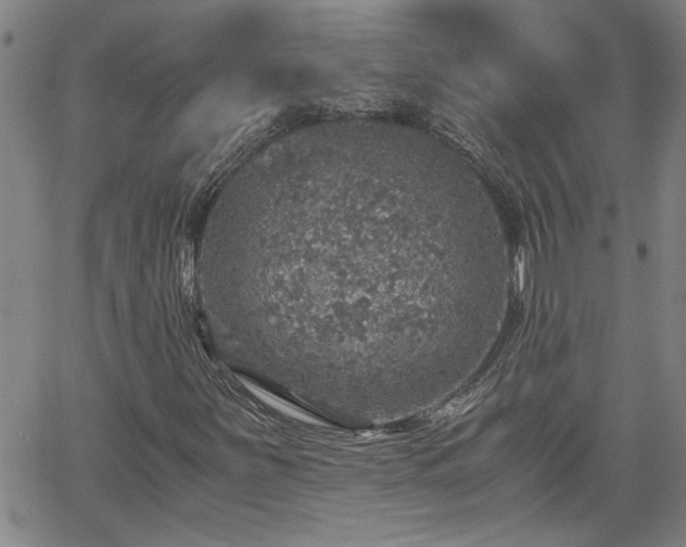 X0000058781251200510031011