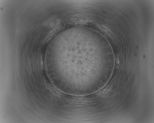 X0000058781252200510031011