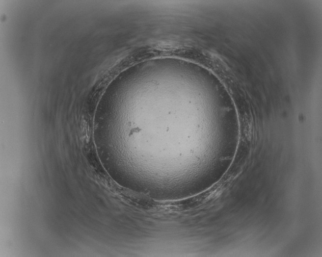 X0000058781253200510031011