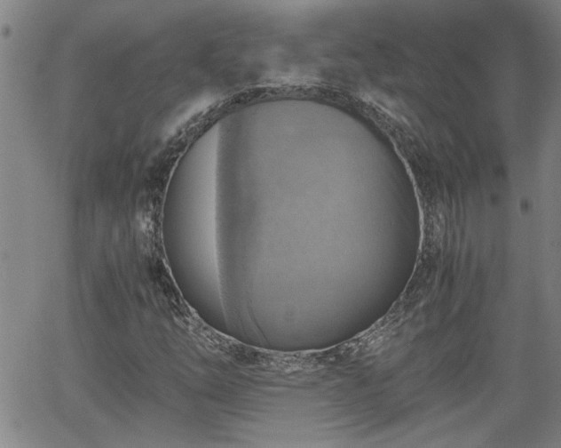 X0000058781254200510031011