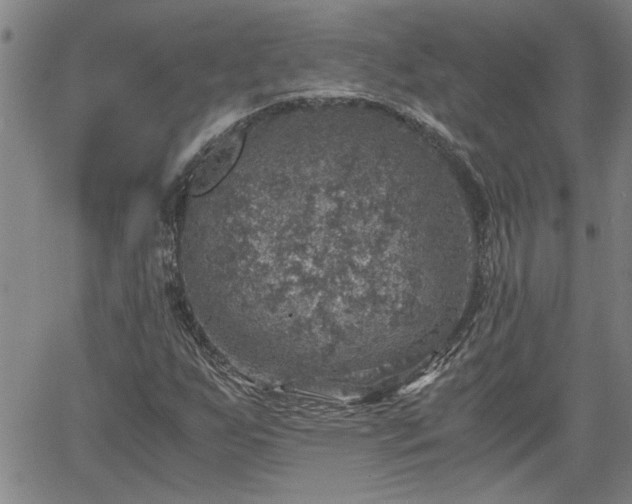 X0000058781255200510031011