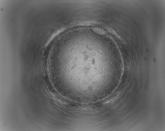 X0000058781256200510031011