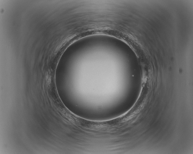 X0000058781257200510031011