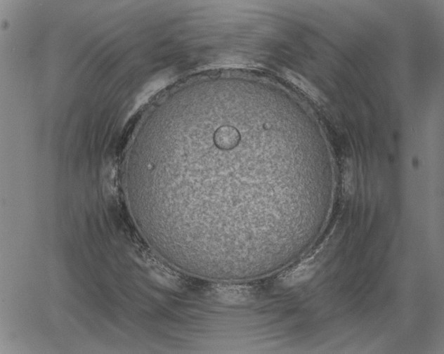 X0000058781258200510031011