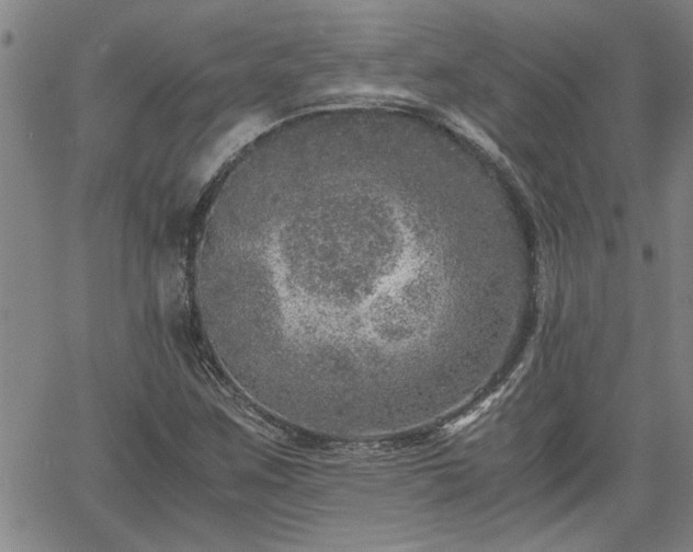 X0000058781259200510031011