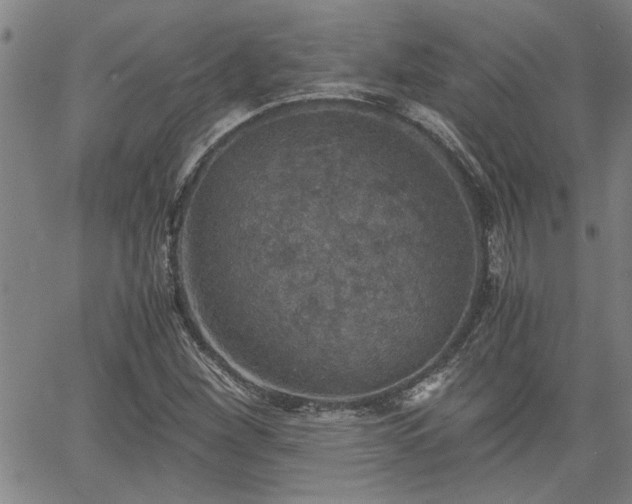 X0000058781260200510031011