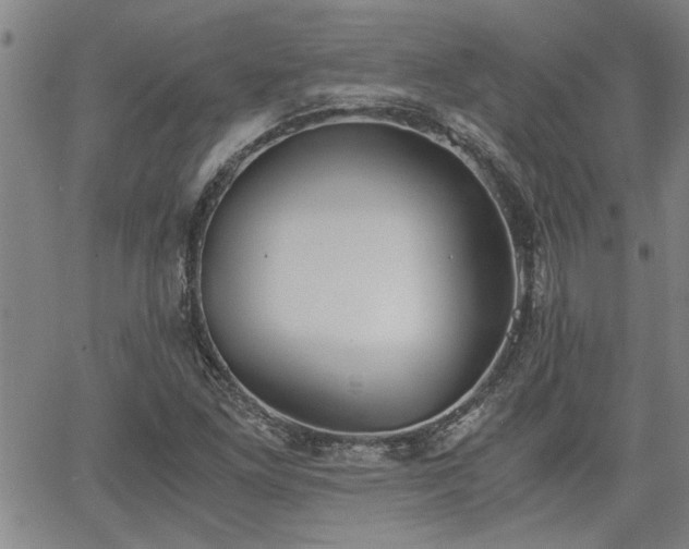 X0000058781261200510031011