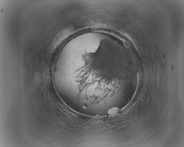 X0000058781263200510031011