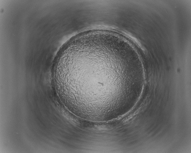 X0000058781264200510031011