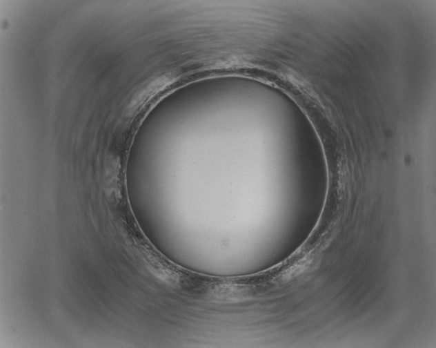 X0000058781265200510031011