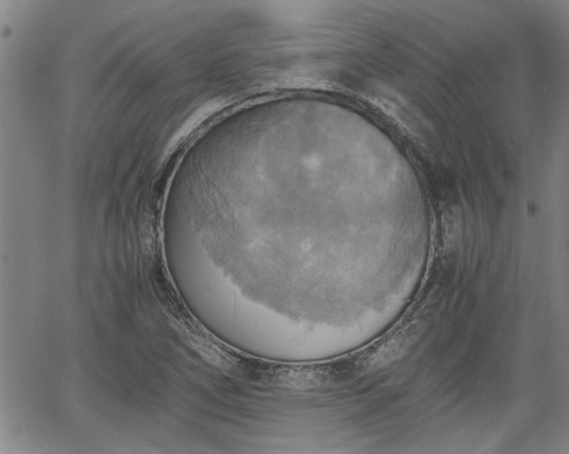 X0000058781266200510031011